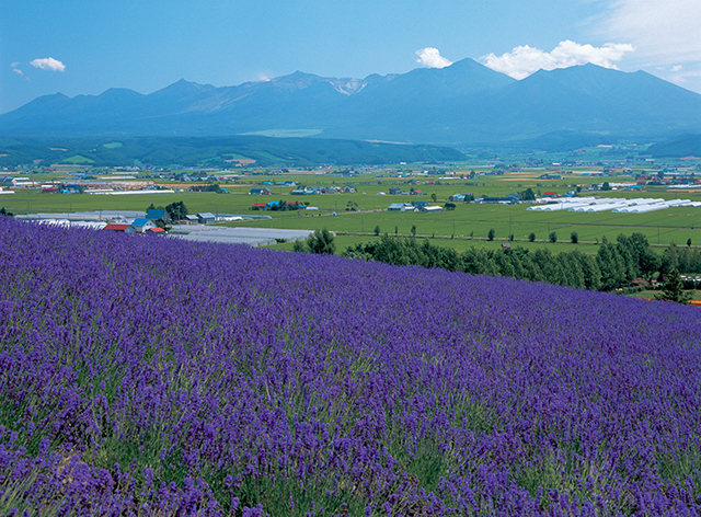 Hà Nội - Hokkaido, 6N/5Đ